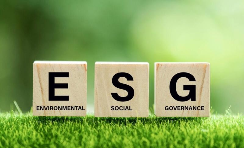 2 thách thức khi đầu tư ESG tại Việt Nam